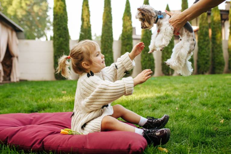 I psi mogu da imaju karijes: Evo kako da ga prepoznate i sprečite na vreme