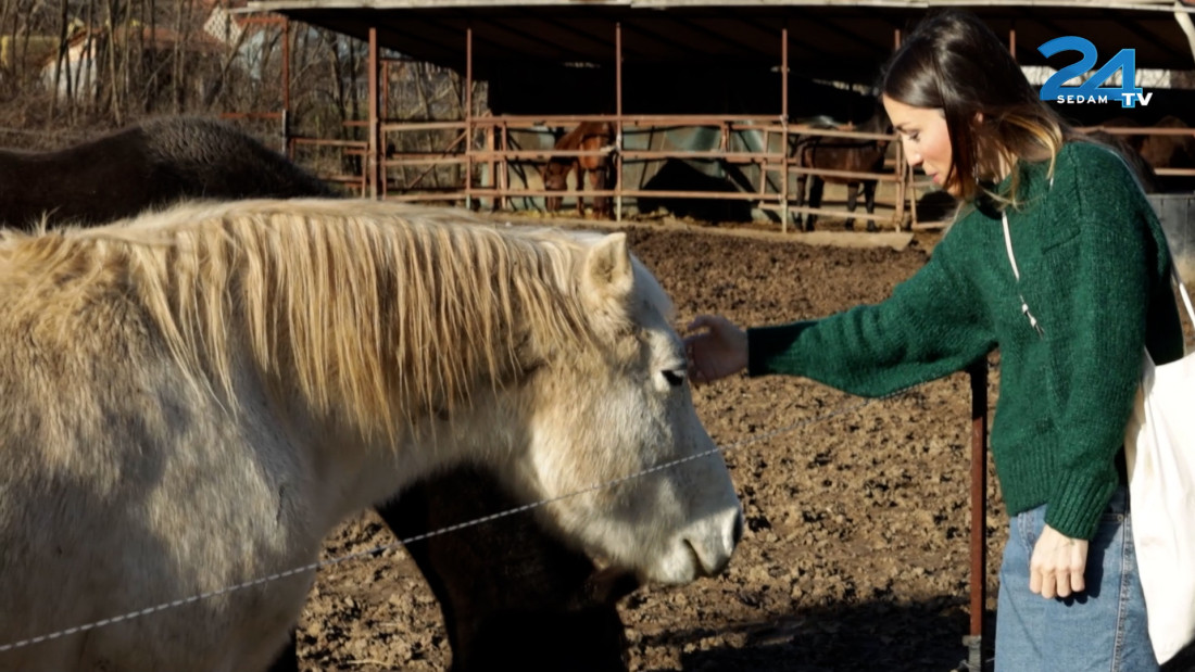 Ovako izgleda jedini azil za konje u Srbiji: Sve je počelo slučajno, a do sada su spasili preko 70 plemenitih životinja (VIDEO)