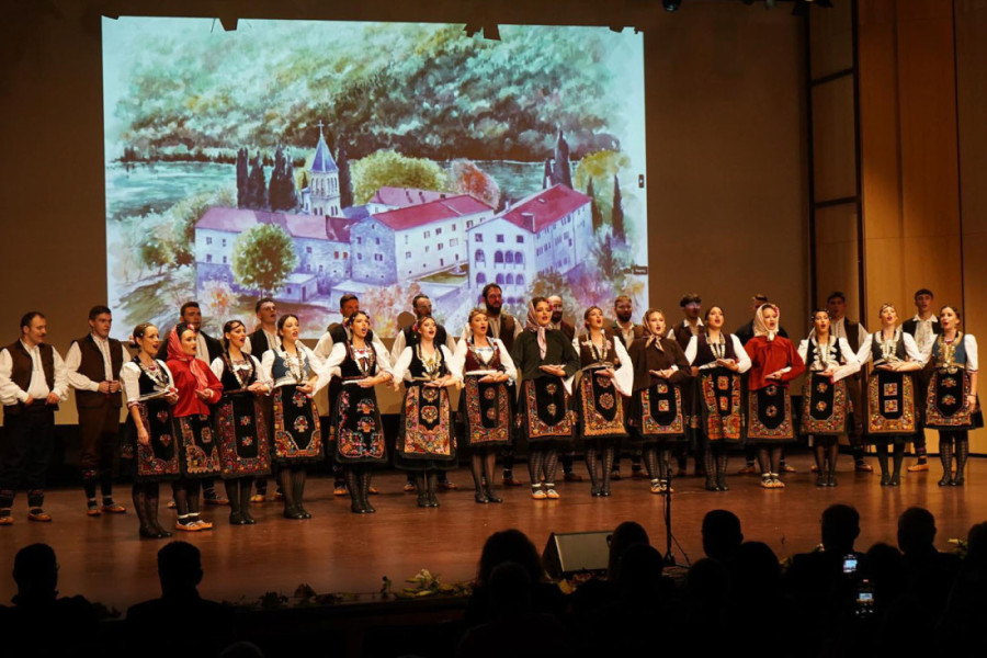 Ministar Milićević u Novoj Gorici: Zajednički cilj očuvanje identiteta srpskog naroda