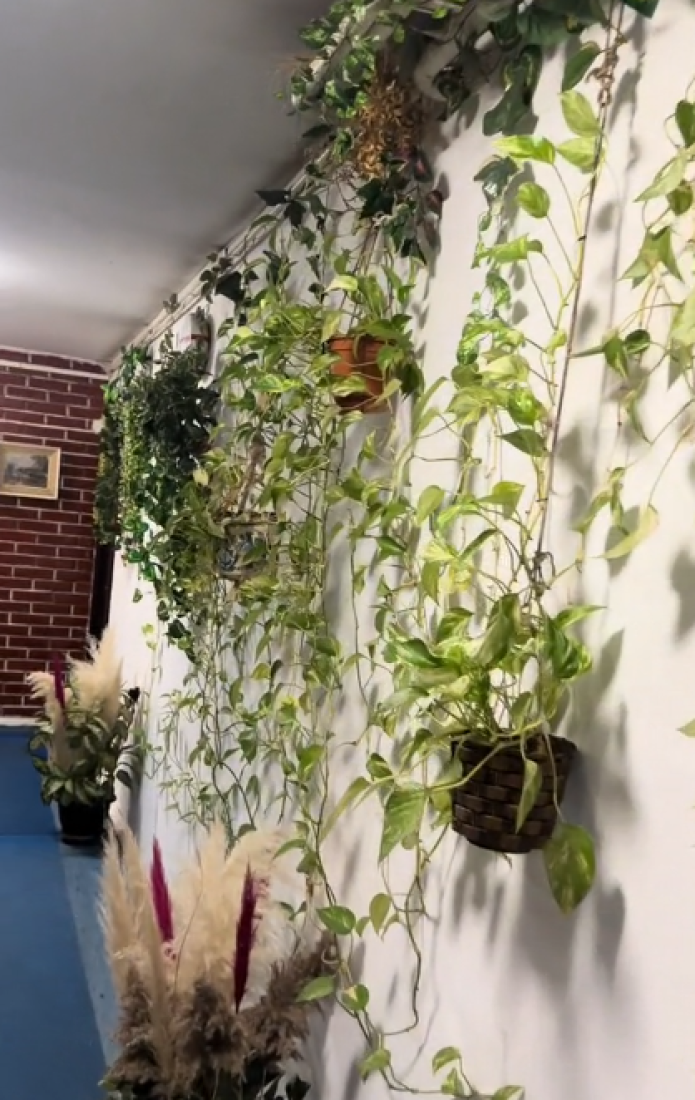 Dobrodošli u moju čudnu zgradu: Tamara pokazala hit mesto gde živi, svaki sprat "svoju politiku vodi"