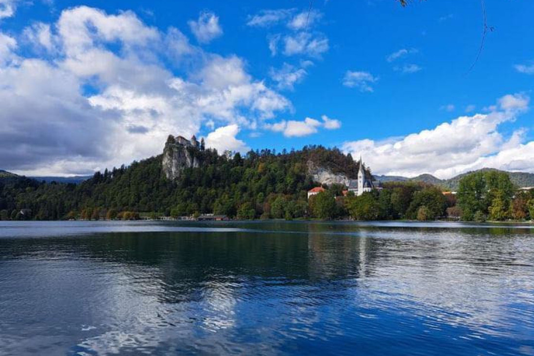 Neverica među turistima: Kazne 200 evra zbog odmora ispod drveta izazvale haos!