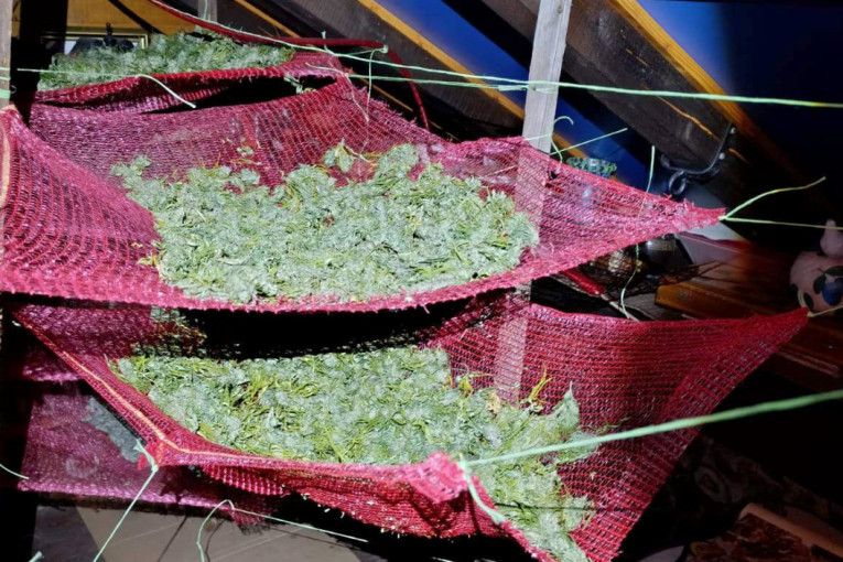 Fabrika droge u Sopotu: Interventa upala u kući i otkrila - laboratoriju