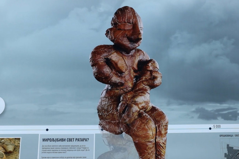 Srpska naučnica otkrila tajnu za kojom se traga decenijama: Niko nije obraćao pažnju na jedan predmet, a onda joj je sinula ideja (VIDEO)