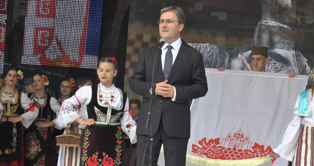 U srpskoj Toskani počela "Oplenačka berba": Cena grožđa od 200 do 600 dinara, litar vina 300 (FOTO)