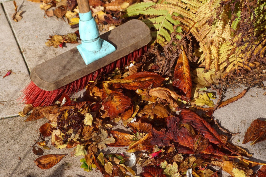 Ne žurite sa grabuljama: Zašto je opalo lišće dragoceno za vaš travnjak ove jeseni