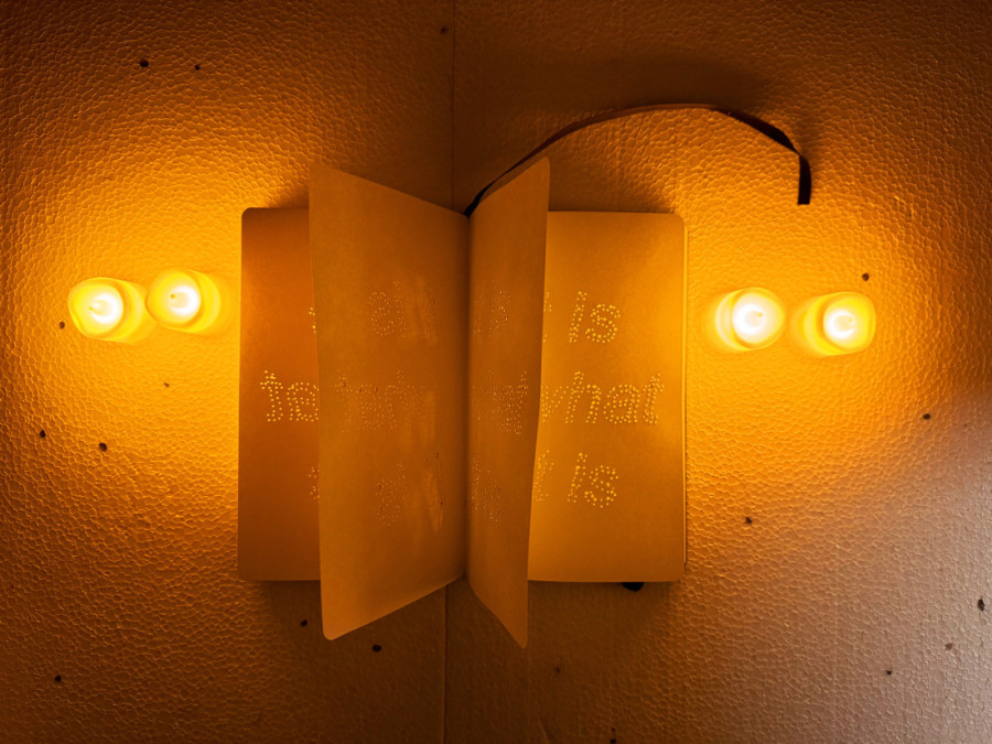 Bod "suve igle" na izložbi Nikole Radosavljevića: Tajna utisnutih reči na stranicama dnevničkih notesa (FOTO)