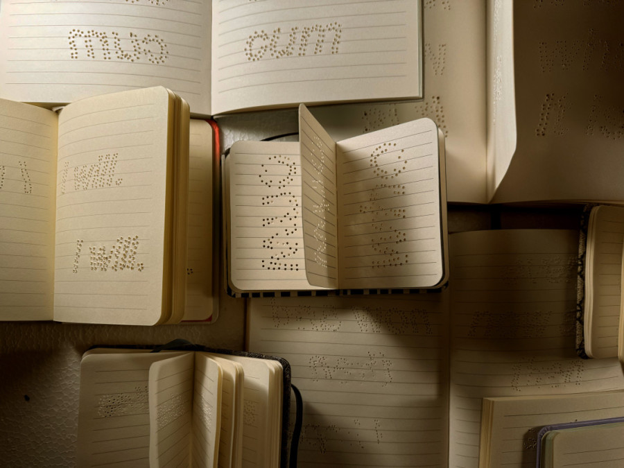 Bod "suve igle" na izložbi Nikole Radosavljevića: Tajna utisnutih reči na stranicama dnevničkih notesa (FOTO)