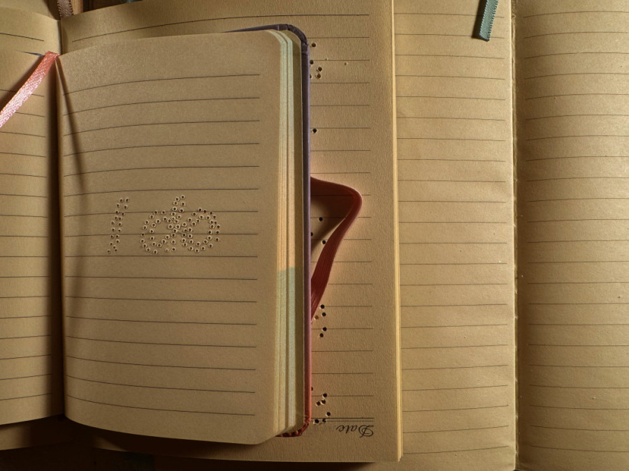 Bod "suve igle" na izložbi Nikole Radosavljevića: Tajna utisnutih reči na stranicama dnevničkih notesa (FOTO)