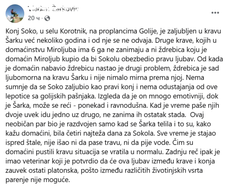 Konj Soko godinama zaljubljen u kravu Šarku, ali nedavno je u domaćinstvo došla i ljubomorna ždrebica! Sad je u kući drama!