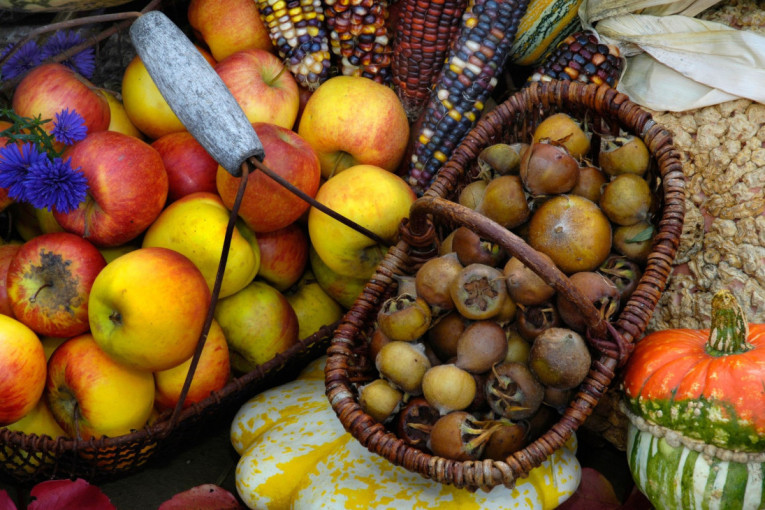 Zaboravljeno jesenje voće koje zaslužuje vašu pažnju: Mušmule su najslađe kad izgledaju da su trule, a ukus im je vanserijski