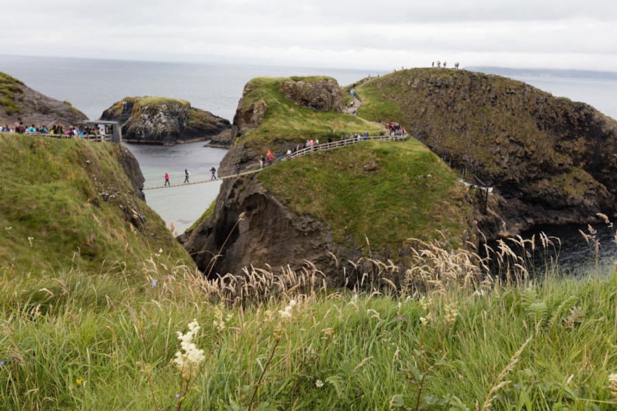 Kao da ste zalutali u svet iz fantazije: Neverovatan drvored u Severnoj Irskoj privlači ljude svojom sablasnom lepotom (FOTO/VIDEO)