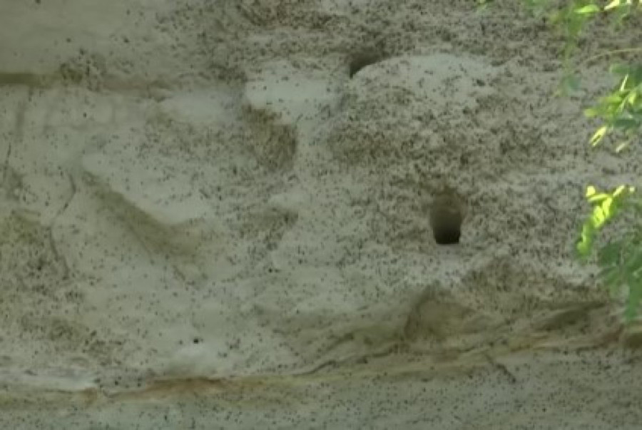 Prirodni fenomen star hiljadama godina: Lesne lutke kod Vršca otkrivaju svoju priču (FOTO)