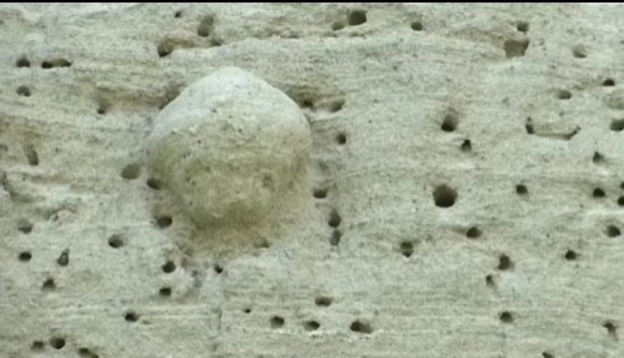 Prirodni fenomen star hiljadama godina: Lesne lutke kod Vršca otkrivaju svoju priču (FOTO)