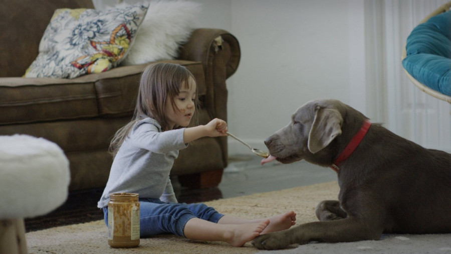 Neverovatne moći psećeg njuha: Sedam stvari koje pas može da nanjuši, a čovek nikada ne bi mogao
