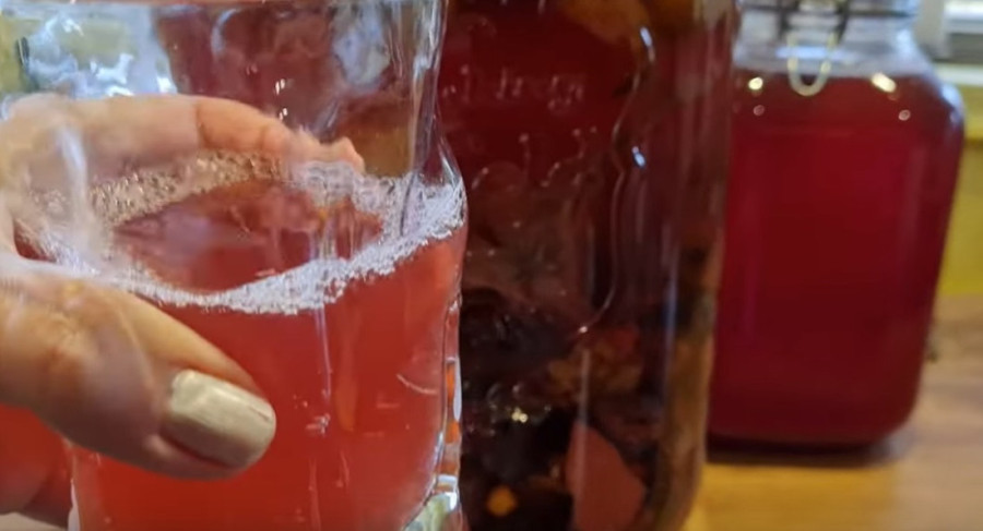 Kako se pravi vodnjika? Čuveni starinski eliksir mladosti i zdravlja - probajte multivitamin naših predaka