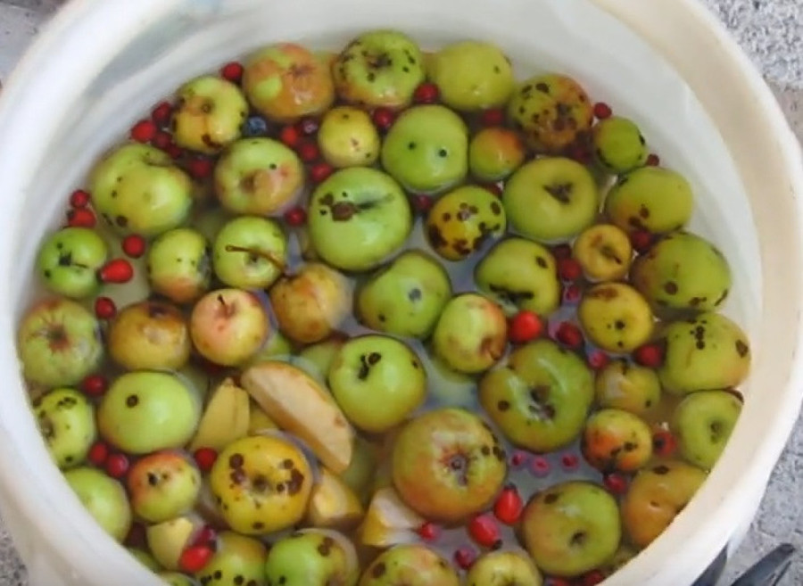 Kako se pravi vodnjika? Čuveni starinski eliksir mladosti i zdravlja - probajte multivitamin naših predaka