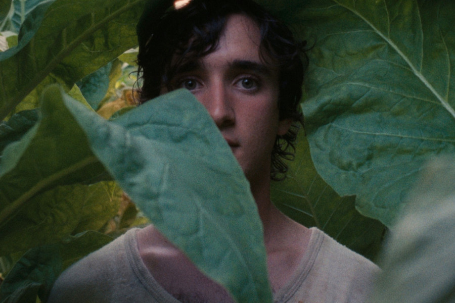 FAF pre FAF-a: Mala antologija festivala uz projekcije deset vrhunskih filmova iz protekle tri decenije (FOTO)