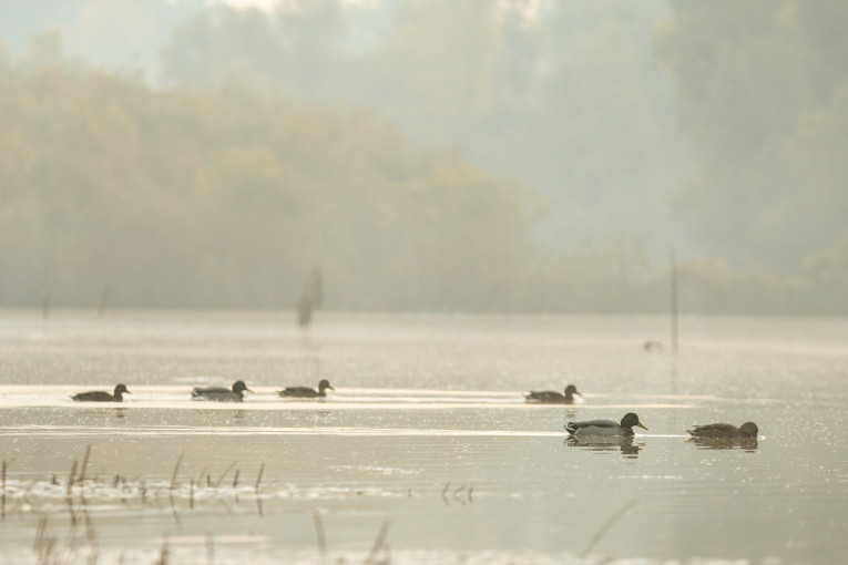 Oblačno i kišovito još nekoliko dana: Evo kada stiže sunce!