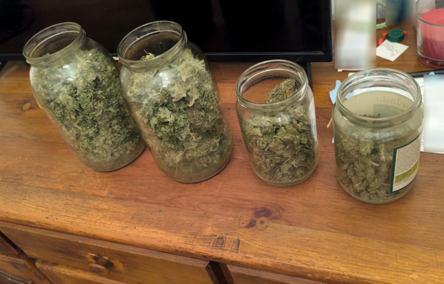 Umesto zimnice, u tegle stavljao marihuanu! Novosađanin "pao" zbog 12 kilograma droge (FOTO)