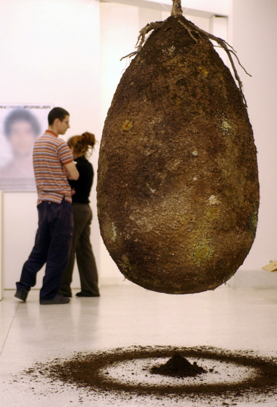 Da li biste voleli da se vaše telo posle smrti pretvori u drvo? Naučnici izumeli biorazgradivu "capsulu mundi"