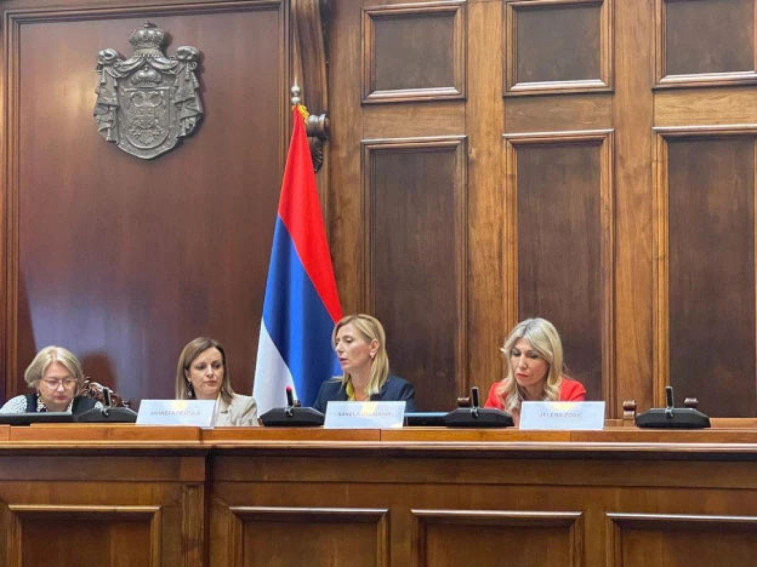 Vršnjačko nasilje jedan od najvećih izazova današnjice: Ključ je u edukaciji roditelja, dece i društva