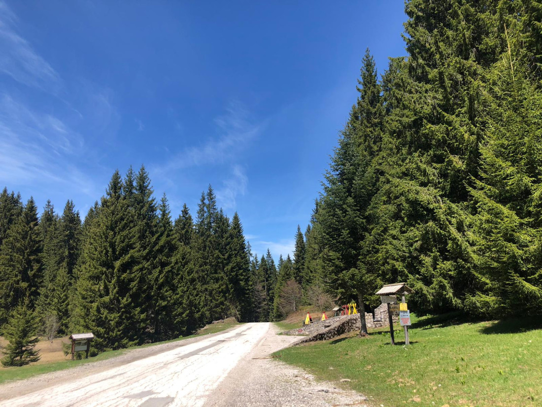 Golija je netaknuta planinska lepotica: Proglašena je parkom prirode, a važi za najšumovitiju planinu u Srbiji