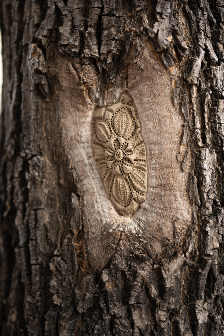 Poljska umetnica donosi čaroliju na ulice Beograda: Umesto miljea "hekla" po betonu! (FOTO)