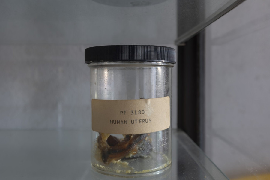 Zamrznut u vremenu: Zavirite u prostorije napuštenog fakulteta koji kao da je doživeo apokalipsu - pun je jezivih ostataka (FOTO)