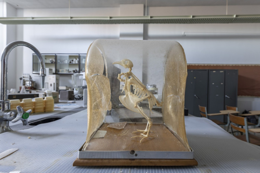 Zamrznut u vremenu: Zavirite u prostorije napuštenog fakulteta koji kao da je doživeo apokalipsu - pun je jezivih ostataka (FOTO)