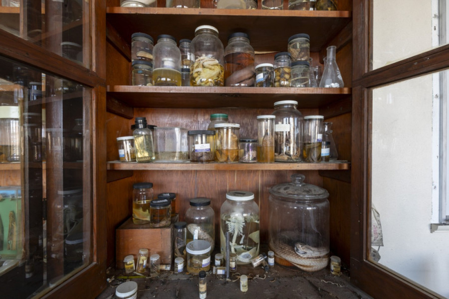 Zamrznut u vremenu: Zavirite u prostorije napuštenog fakulteta koji kao da je doživeo apokalipsu - pun je jezivih ostataka (FOTO)