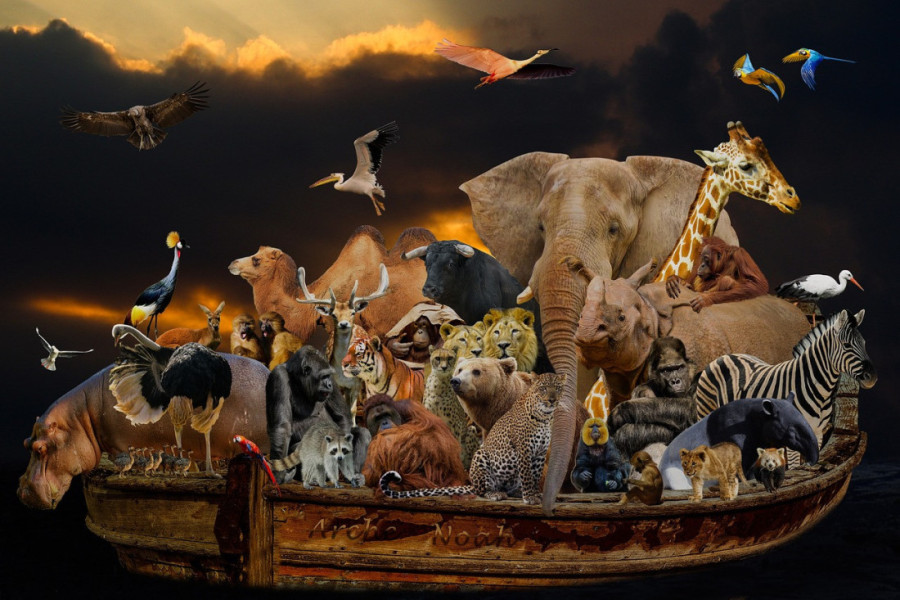 Eksplozivna biblijska teorija: Da li je Nojeva barka povezana sa osam krvnih grupa ljudi?