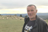 Ovcama morali da vade pasoše zbog pogranične policije: Lukići sa Jabuke imaju više od 600 grla stoke, ovi domaćini su ponos Srbije (FOTO)