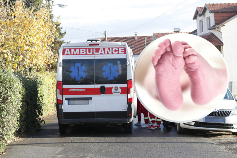 Petrov: Studentska lista nije studentska, ne zna se čija je tačno i ko stoji iza nje