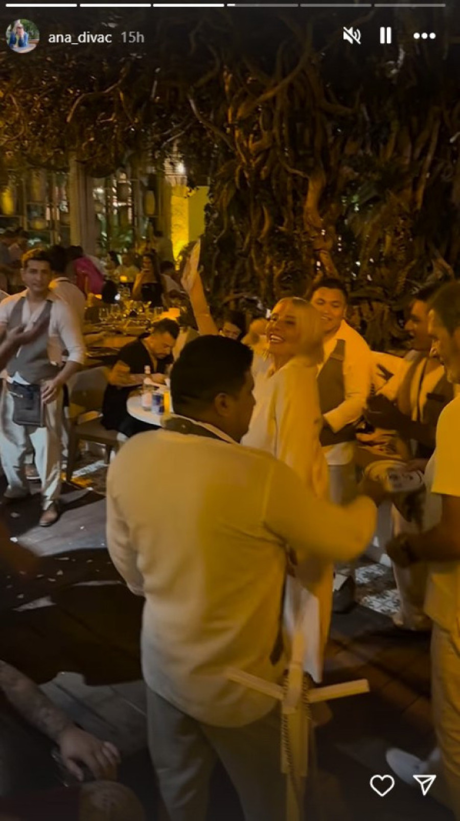Ana Divac napravila opštu pometnju u provodu: Lomi tanjire i veseli se kao da sutra ne postoji