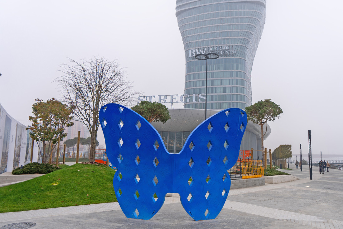 Natalijina ramonda "iznikla" na Sava promenadi u susret Danu primirja