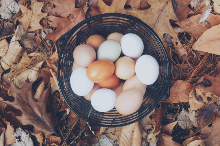 I Srbija sad ima farmere iz fotelje, šta sve zdravo mogu da dobiju?
