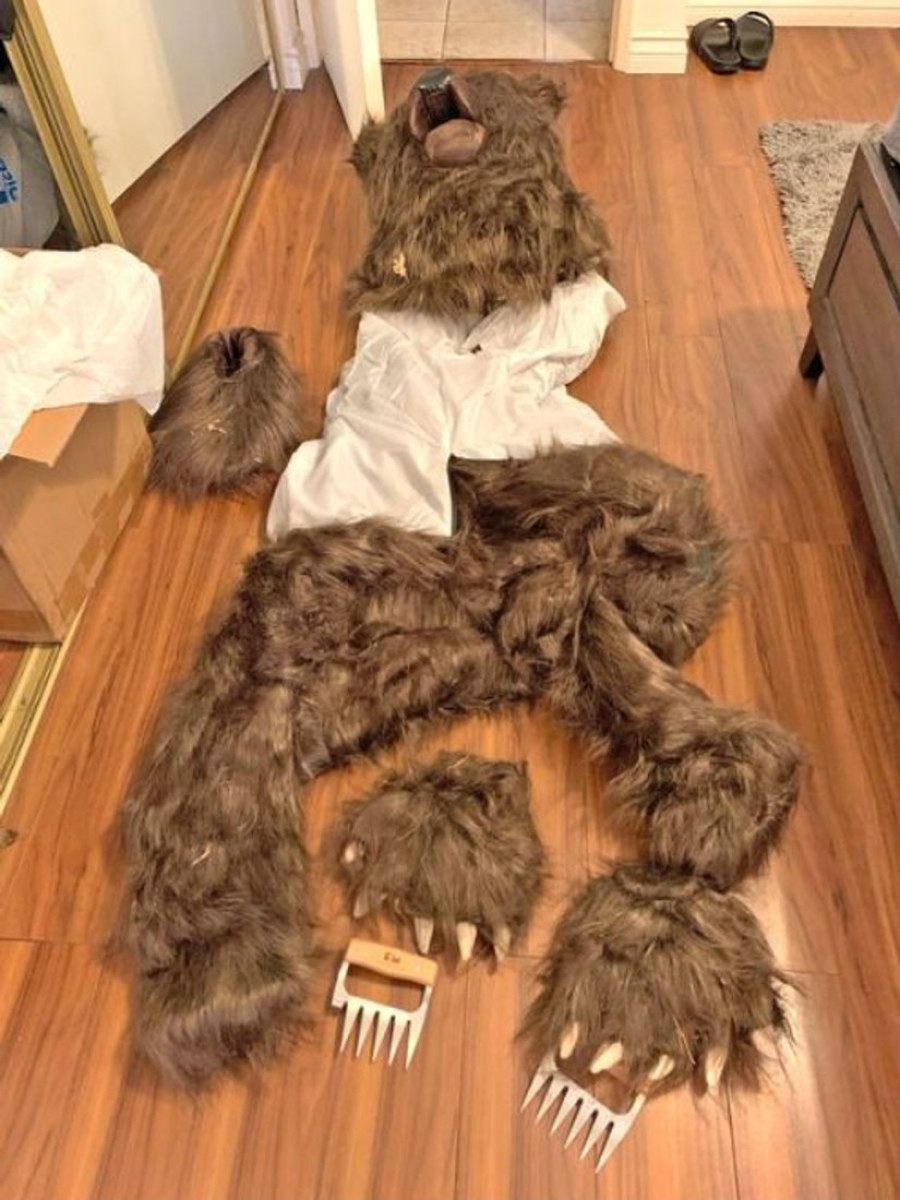 Bizaran pokušaj krađe: Medvedi obijali automobile?!