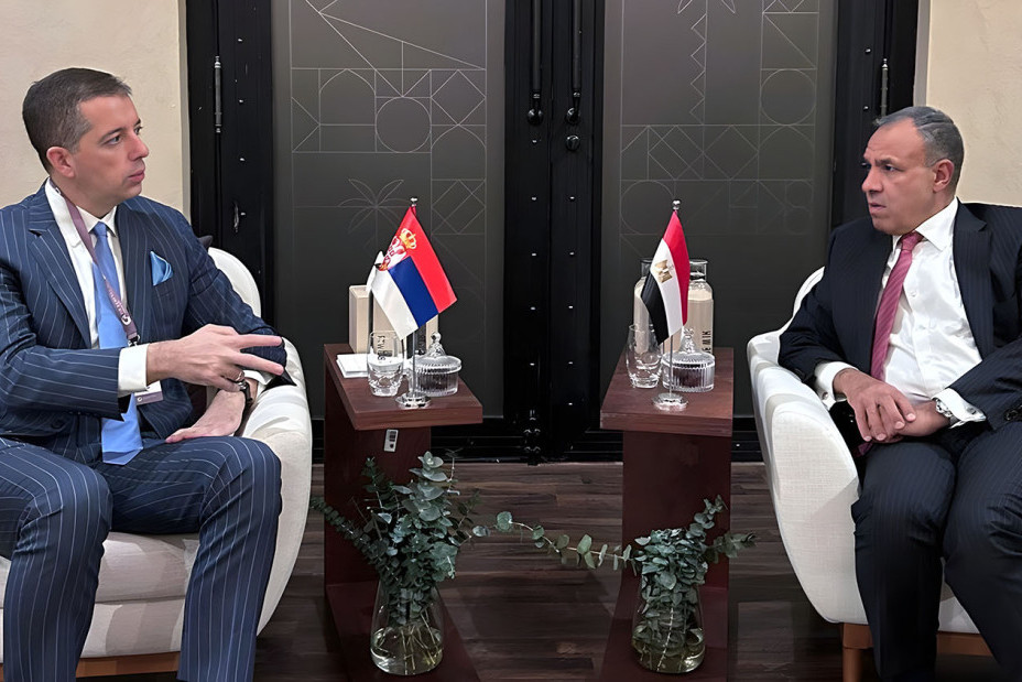 Đurić sa egipatskim ministrom: Srbija opredeljenja za dalje jačanje odnosa dve zemlje (FOTO)