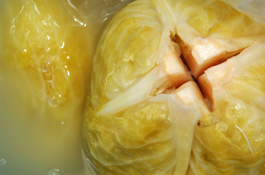 Uz ovaj jednostavan trik sa kesom, izbeći ćete kvarenje kiselog kupusa