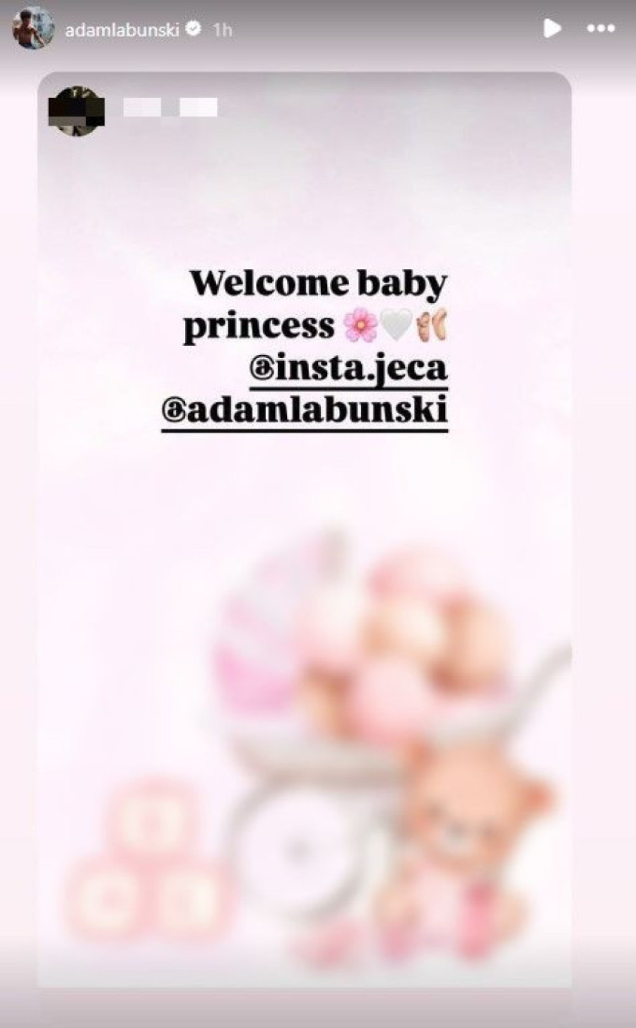 Instagram screenshot / adamlabunski