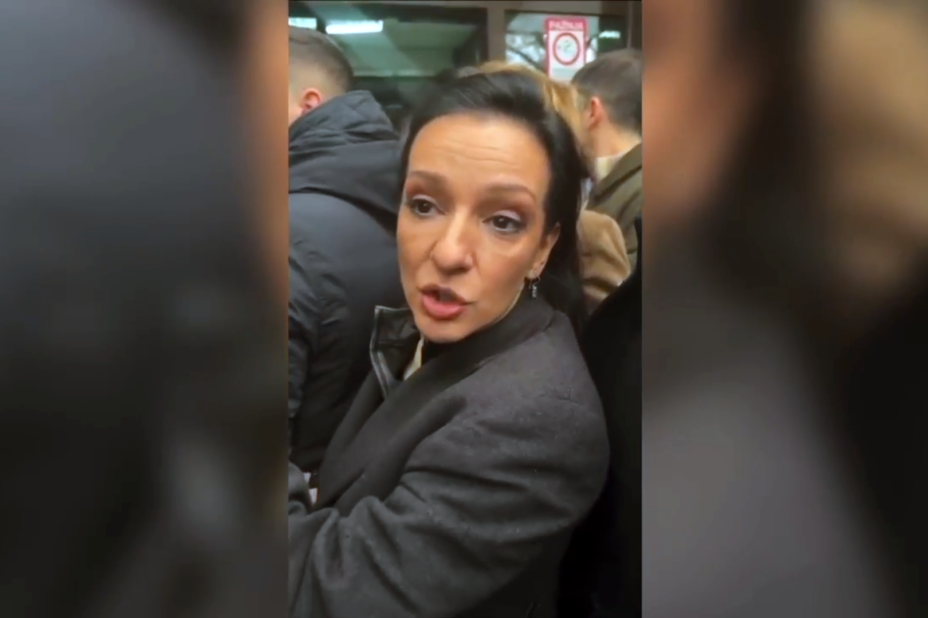 Marinika Tepić i njene sulude teorije: Od "droge" u Moroviću, pa do "špijunskog centra" u EPS!