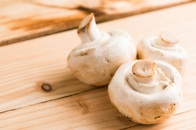 Recept dana: Posni rolat sa pečurkama koji nestaje sa stola za nekoliko minuta