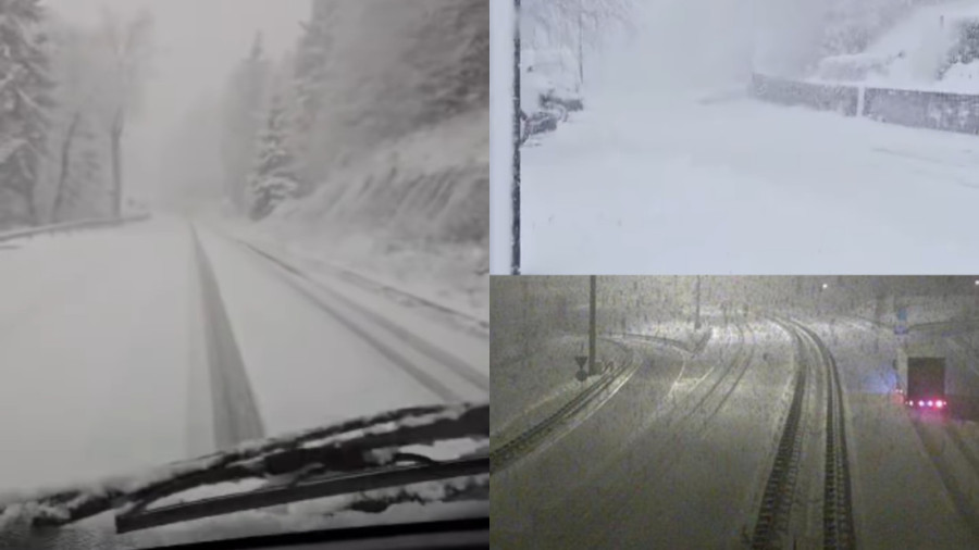 Narušen eko sistem: Na Prokletijma uništeno preko 120.000 zaštićenih stabala, podnete prijave protiv nadležnih