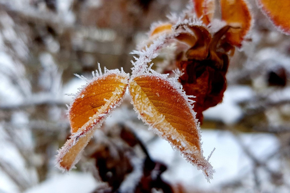 Važno obaveštenje: “Gradska čistoća” daje džakove za šut, ali samo na ovaj način (FOTO)