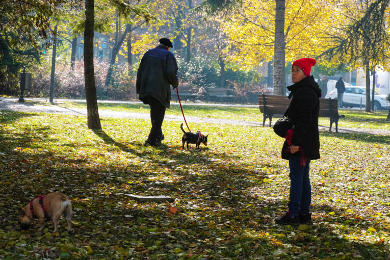 Stanje na granicama: Teretnjaci na Sremskoj Rači čekaju sat vremena na izlazu iz Srbije