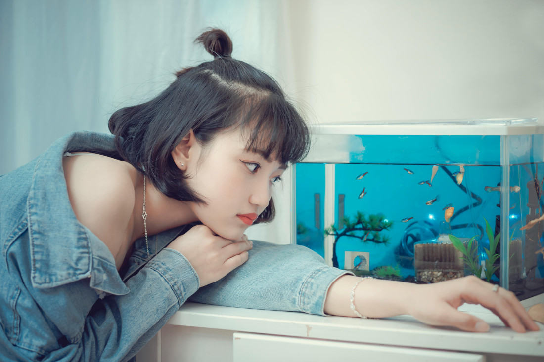 Menjanje vode u akvarijumu: Kako da očistite ribicama dom na bezbedan način