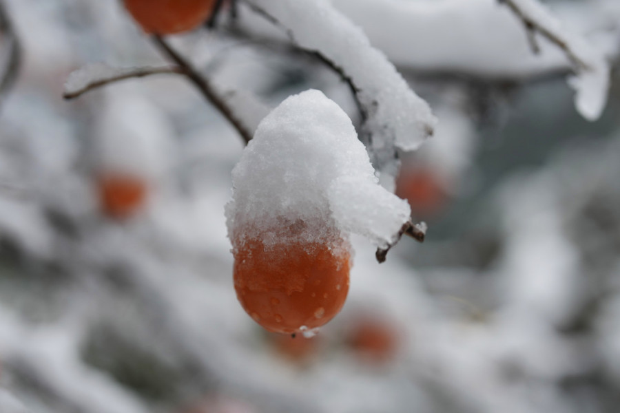 Južna Koreja pod snegom! Otkazani letovi, kolaps u saobraćaju, na hiljade domova bez struje... (FOTO)