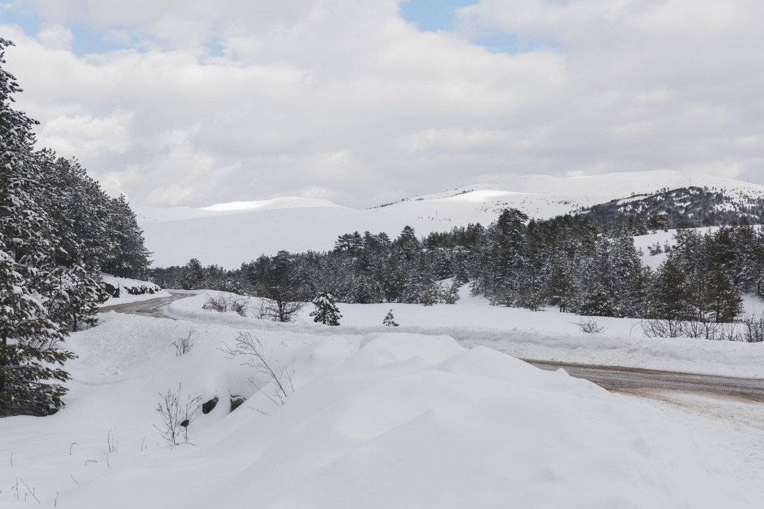 Memić: Devizni priliv od turizma za deset meseci prešao 2,3 milijarde evra