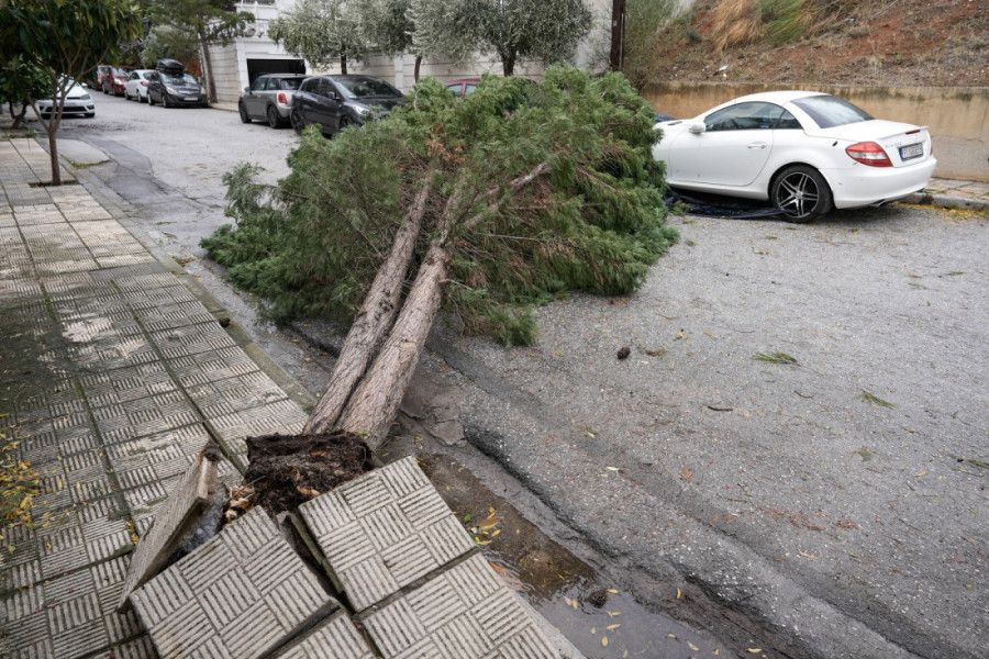 Omiljena letovališta Srba razorena: Uništeni putevi, nadvožnjaci, oborena stabla... Na Halkidikiju se očekuje novi udar (FOTO/VIDEO)
