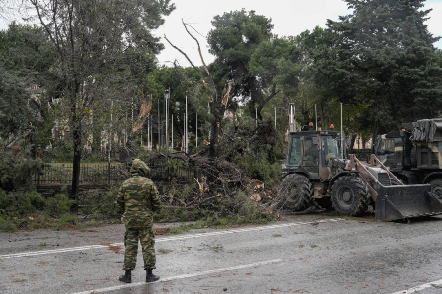 Omiljena letovališta Srba razorena: Uništeni putevi, nadvožnjaci, oborena stabla... Na Halkidikiju se očekuje novi udar (FOTO/VIDEO)